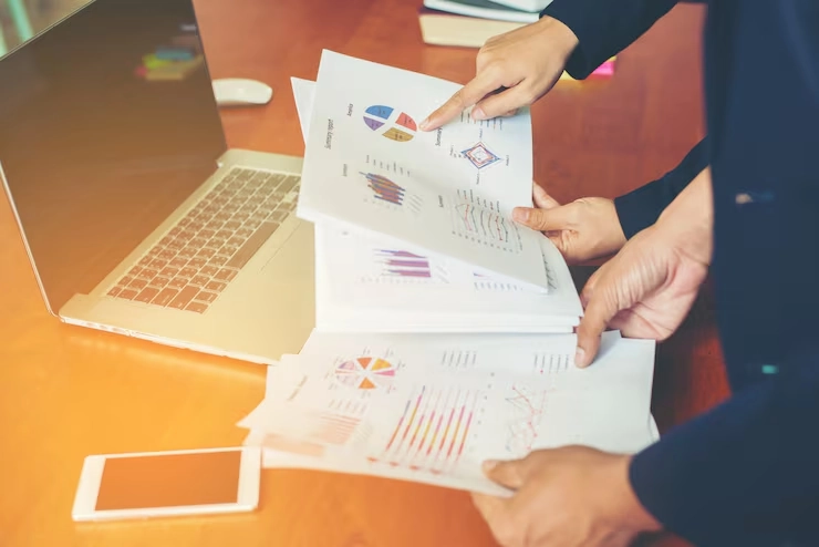 Portfolio Audit and Financial Review