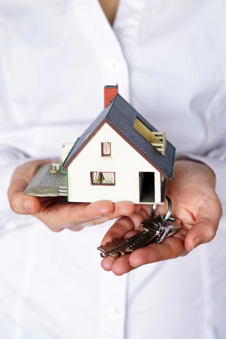 Legal and Contract Advisory