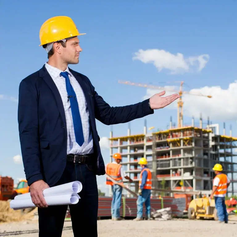 Development Investment Oversight