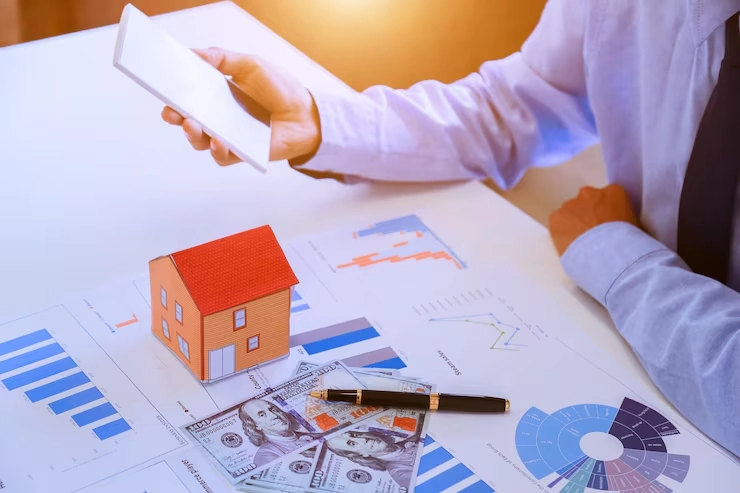 Development Project Financing